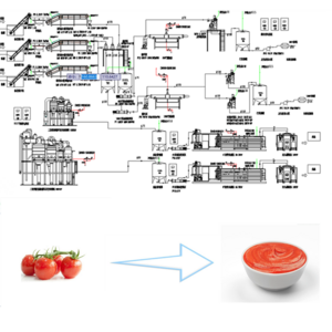 Fruit Vegetable Sorting Machine Ketchup Processing Plant Tomato Sauce Making Machine