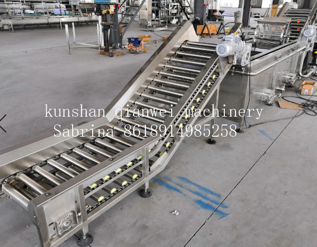 Ce Iso Fully Automatic Manufacturer Tomato Pulp Puree Processing Factory Making Plant Machine