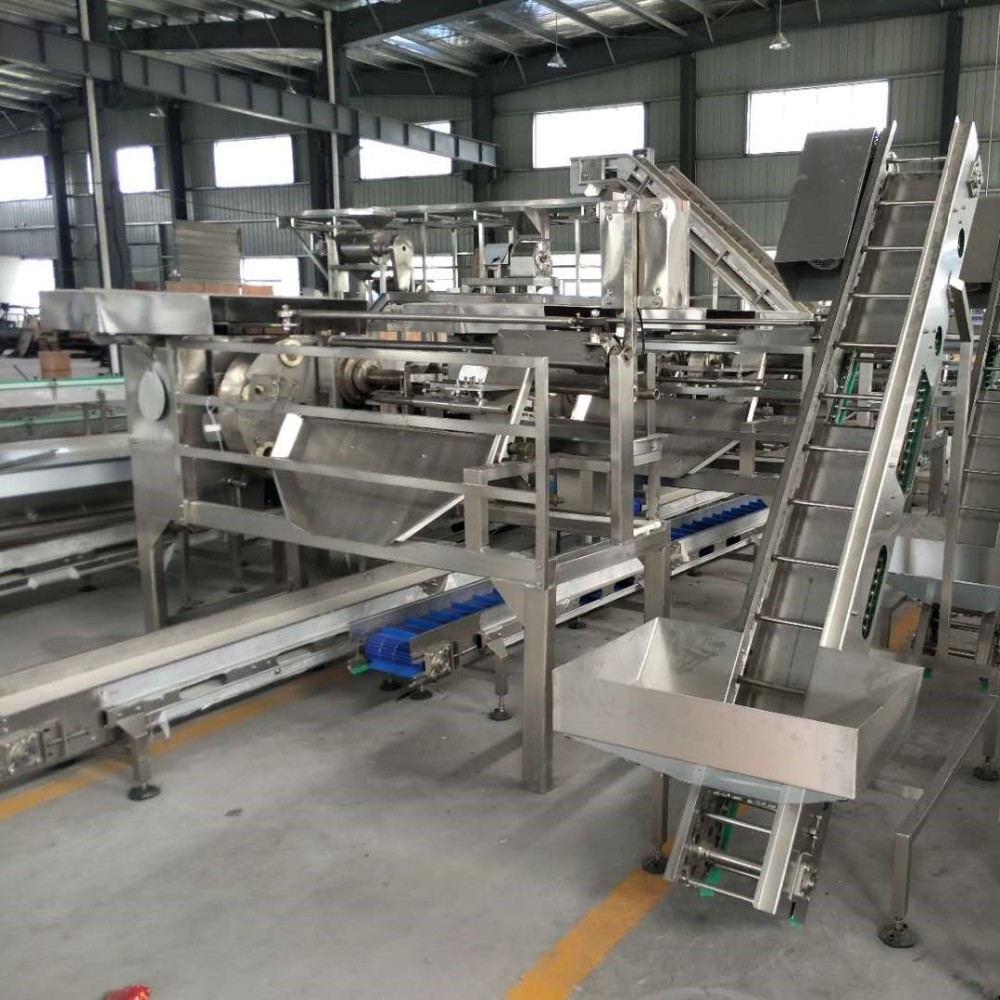 pineapple peeling coring canned juice production line processing machine