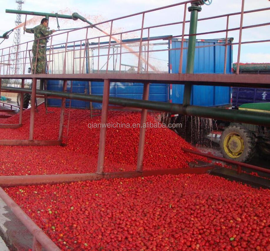 Fruit Vegetable Sorting Machine Ketchup Processing Plant Tomato Sauce Making Machine