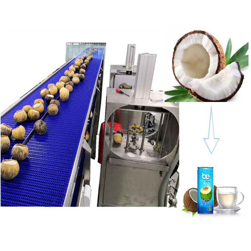 Coconut cutting machine half cutter water extracting cutting oil extractor machine coconut oil machine