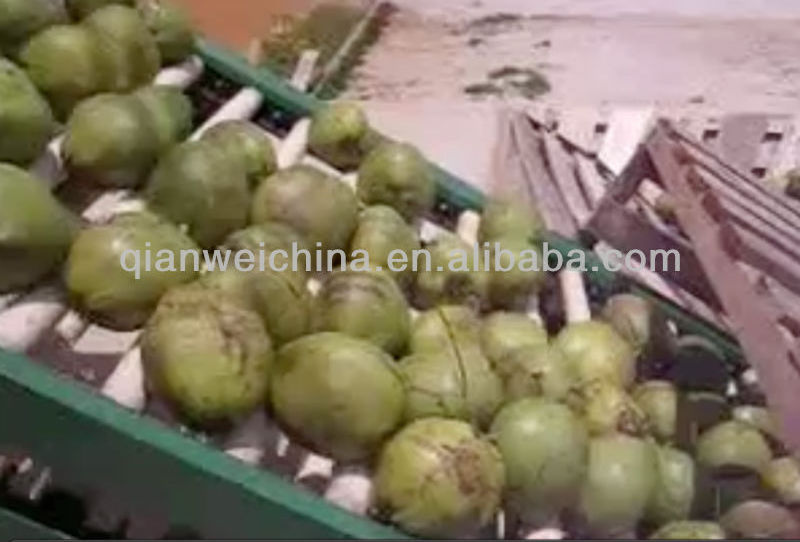 Coconut water processing plant production plant processing machinery