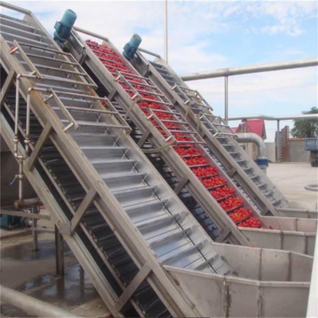 Fruit Vegetable Sorting Machine Ketchup Processing Plant Tomato Sauce Making Machine