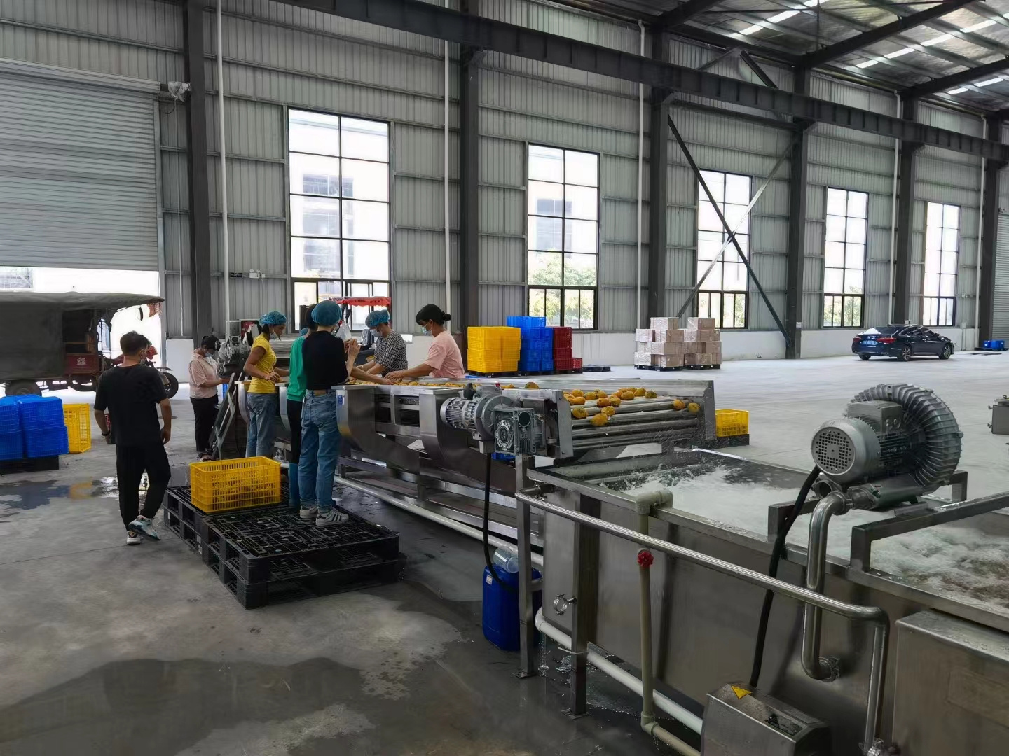 Fresh Juice Mango Processing Plant Peeler Pulping Making Machine