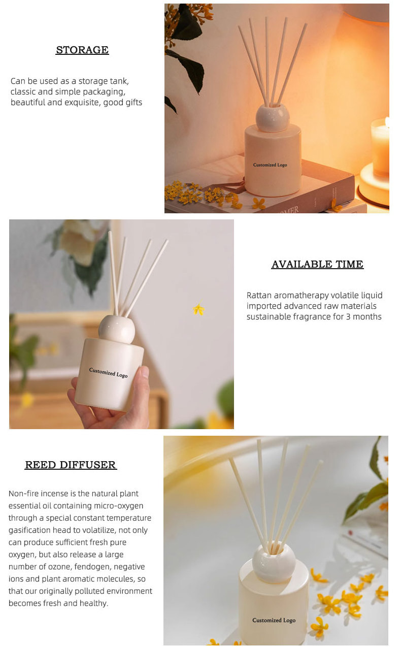 Qian Wen Luxury Essential Oil Glass Bottle Scented Home Fragrance Sticks Refill Perfume Sets Custom Aroma Reed Diffuser