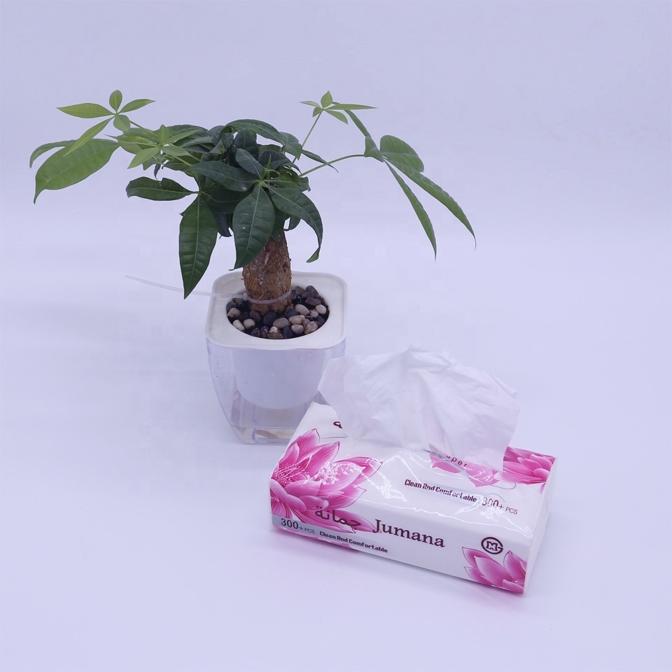 Qiaodou Facial Tissue Paper Soft Pack Made by Facial Tissue Supplier, Virgin Wood Pulp Tissue Paper Facial