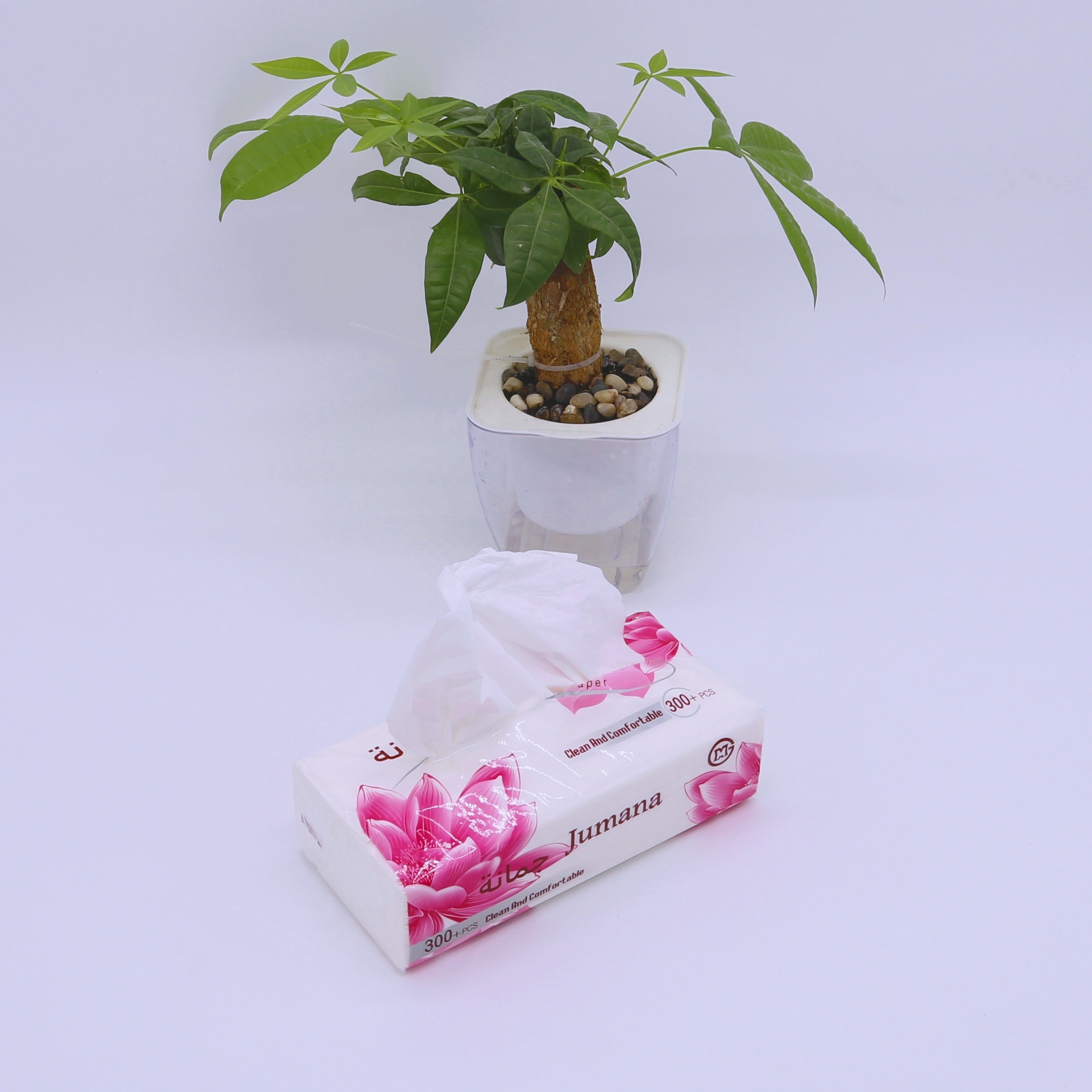 Qiaodou Facial Tissue Paper Soft Pack Made by Facial Tissue Supplier, Virgin Wood Pulp Tissue Paper Facial