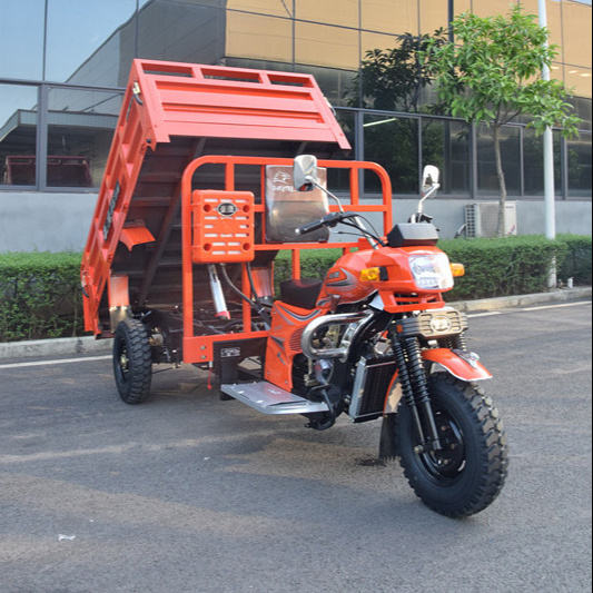 Hot Cheap Gasoline Zongshen 250CC Engine Cargo Tricycle For Sale Malaysia Philippines