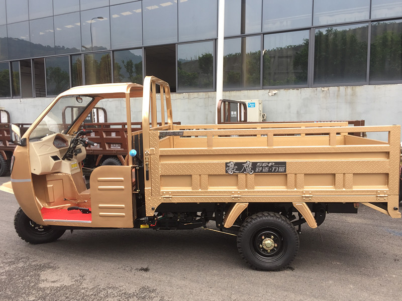 factory price tricycle for sale in philippines made by Chongqing manufacturer