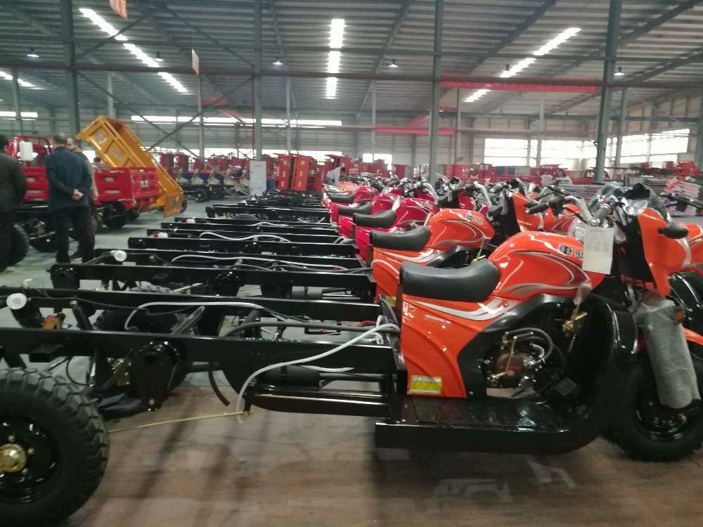 China Suppliers Petrol Tricycle for Adult Drift Trike Sales in Kenya,Philippines, Ghana and Peru