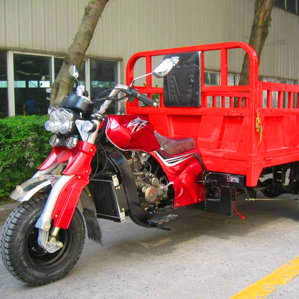 China Suppliers Petrol Tricycle for Adult Drift Trike Sales in Kenya,Philippines, Ghana and Peru