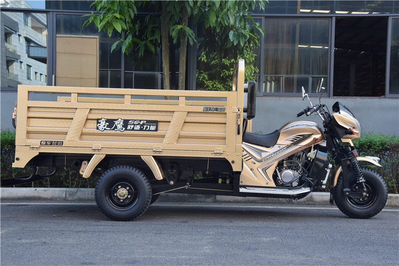 Loncin motorcycle 250cc 3 wheel pertol cargo bike truck cargo tricycle