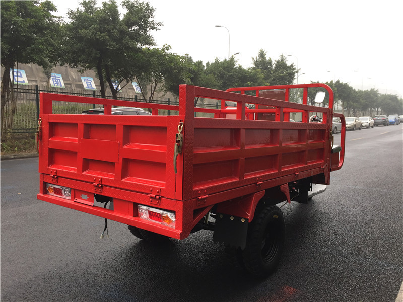 Five Wheeler Tricycle 5 Wheel Cargo Gas Trike for Sale