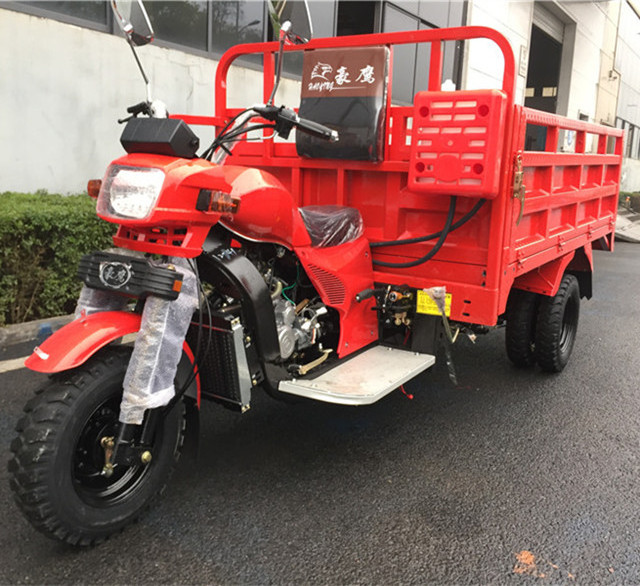 Five Wheeler Tricycle 5 Wheel Cargo Gas Trike for Sale