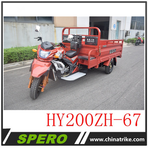 NEW Model dragon 200/250CC water cooled cargo three wheel motorcycle trike for sale