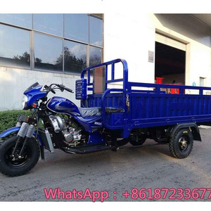 CHINA HOT SALE 200CC motor  cargo triciclo para adultos carga for sale