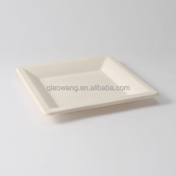 100 % biodegradable plate square bagasse plate set sugarcane fiber paper dishes