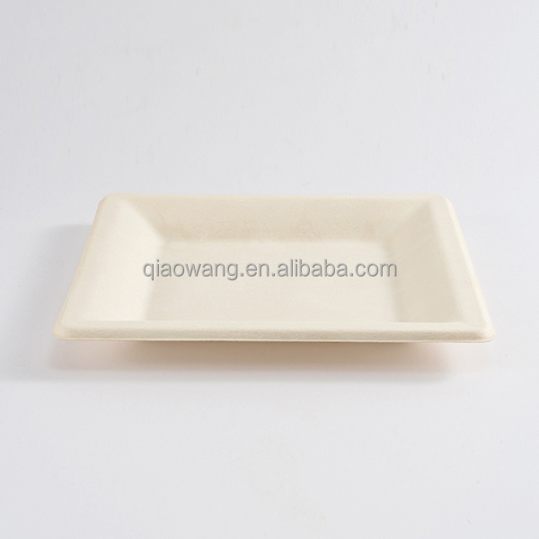 100 % biodegradable plate square bagasse plate set sugarcane fiber paper dishes