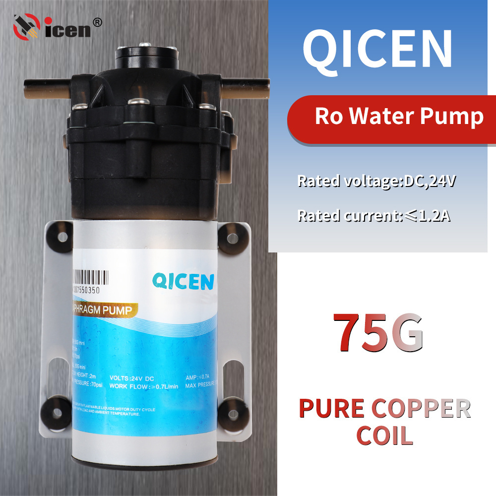 Qicen Best Quality 24V 36V 70Psi 50G 75G 100G 400G 600G Self Priming Water Pump For Ro System