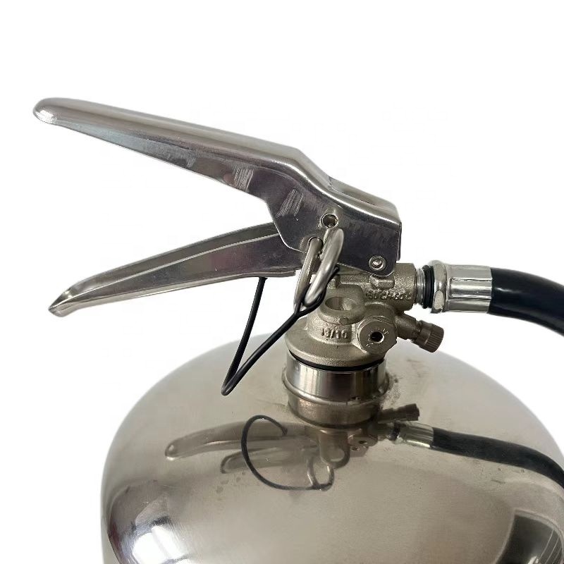 Portable 4kg Stainless Steel ABC Dry Powder Fire Extinguisher For Home