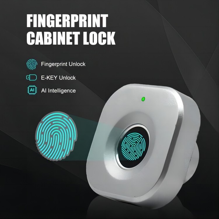 2024 Qidots Electronic Cabinet Lock Smart Wireless Bluetooth Black Small Biometric Smart Lock Fingerprint Drawer Smart Lock