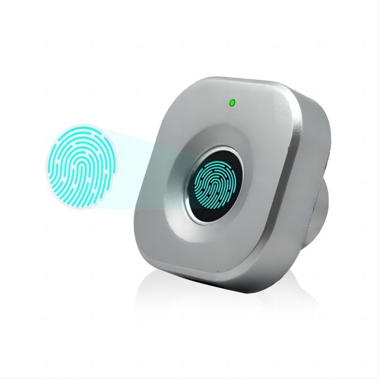 2024 Qidots Electronic Cabinet Lock Smart Wireless Bluetooth Black Small Biometric Smart Lock Fingerprint Drawer Smart Lock