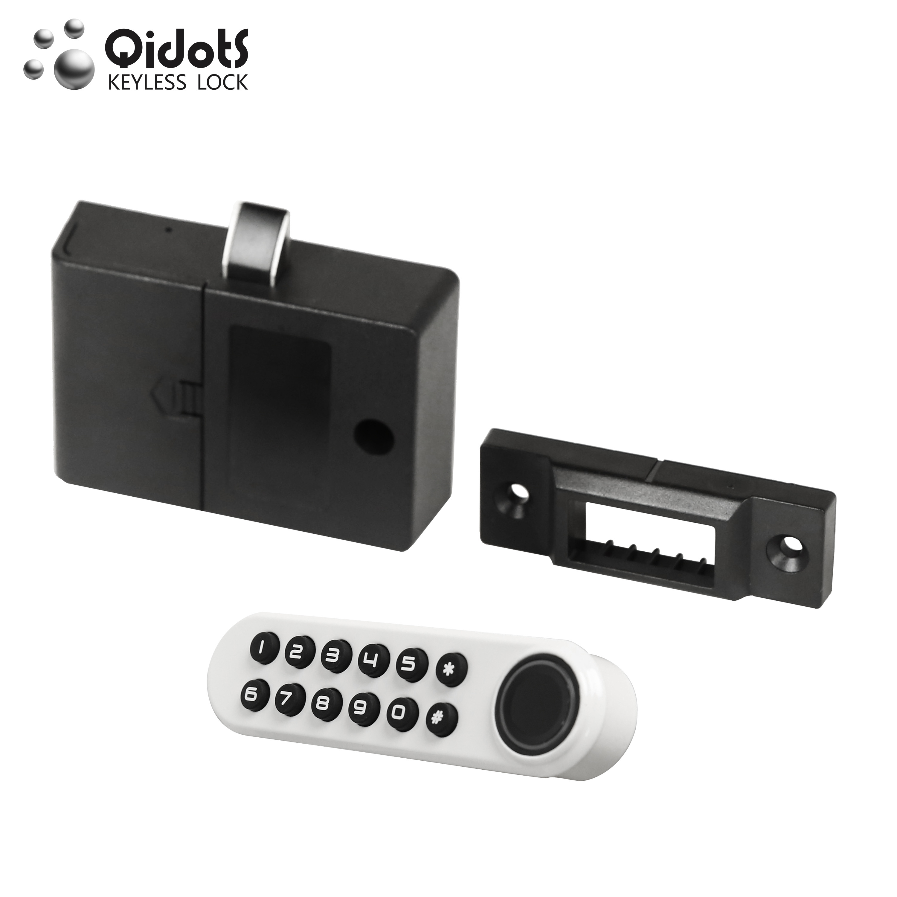 QIDOTS fingerprint locker lock Free Shipping Hot Sale Easy Install Biometric Fingerprint Smart Lock For Cabinet