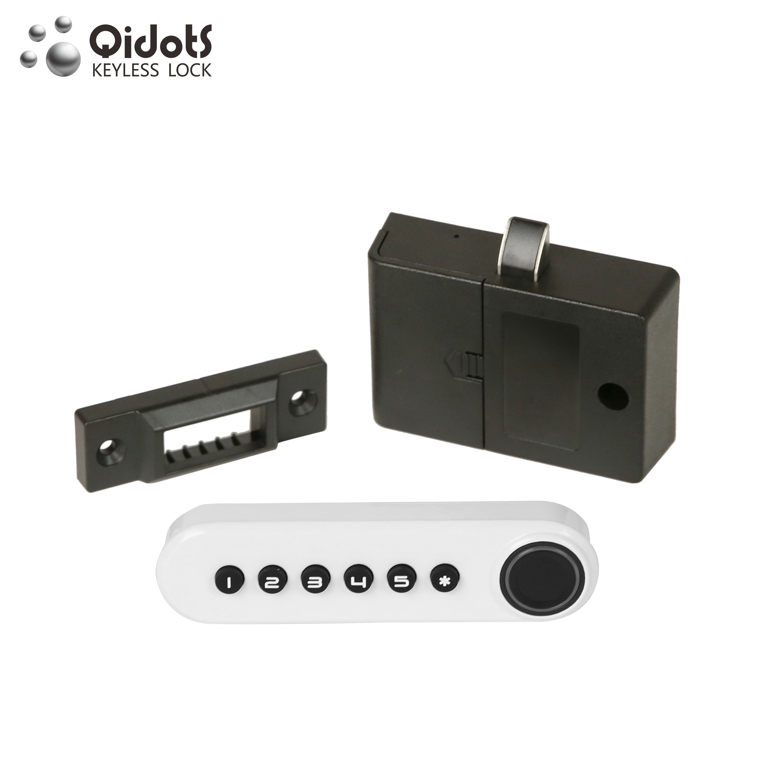 QIDOTS easy install smart fingerprint magnetic lock for locker cabinet lock biometric