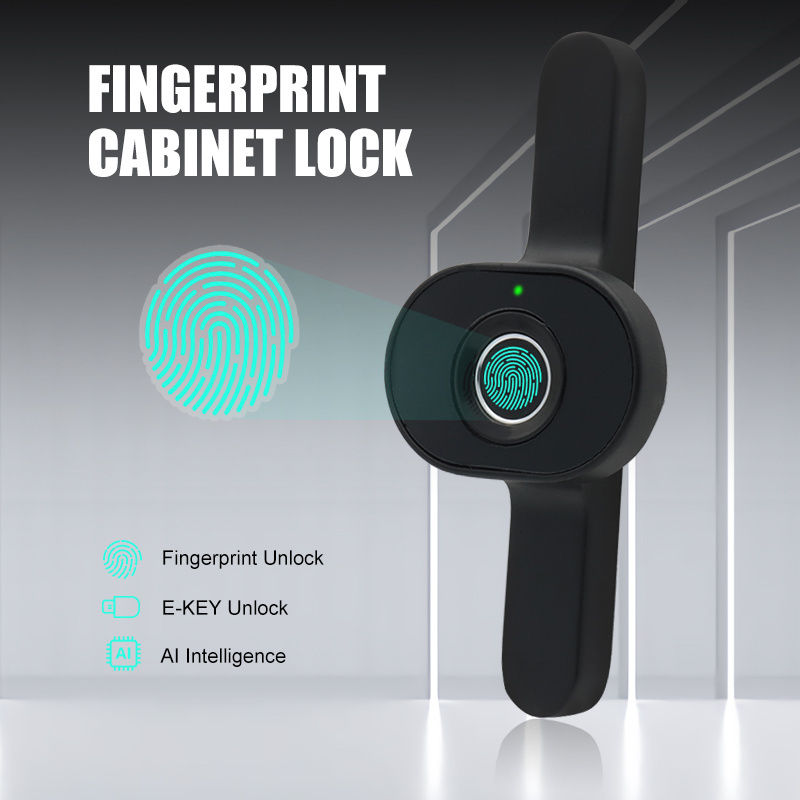 Qidots biometric smart fingerprint cabinet lock business electronic cabinet drawer fingerprint lock