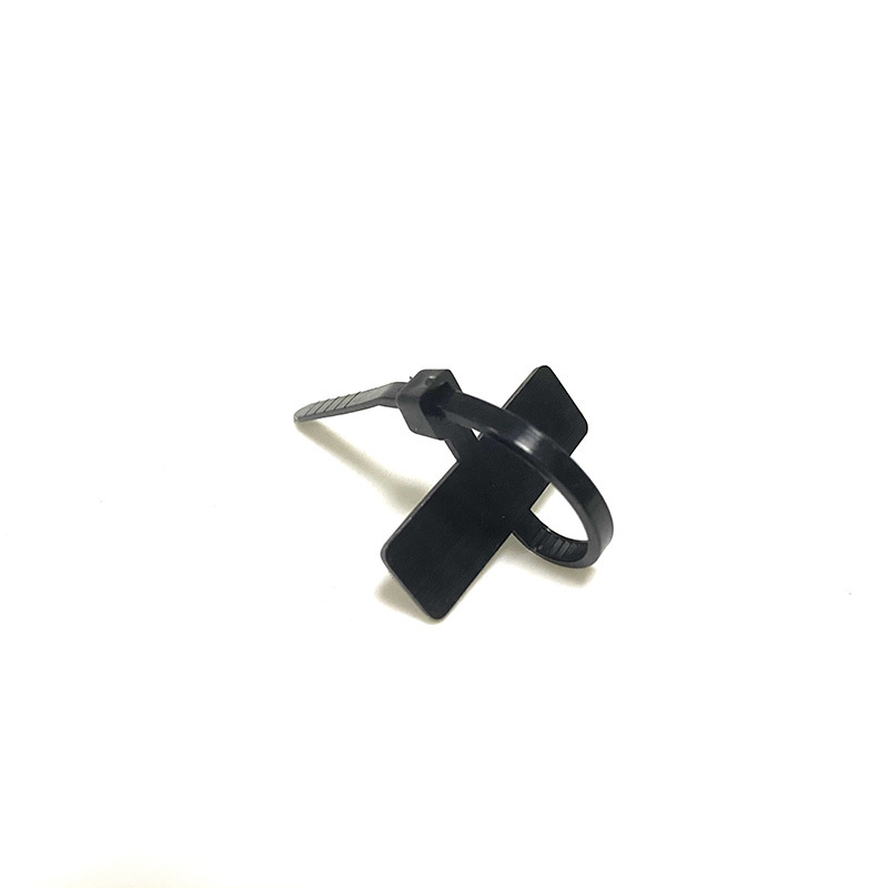 2.5*70mm 1000pcs/bag nylon PA66 Self-locking automotive cable tie zip ties with Labels