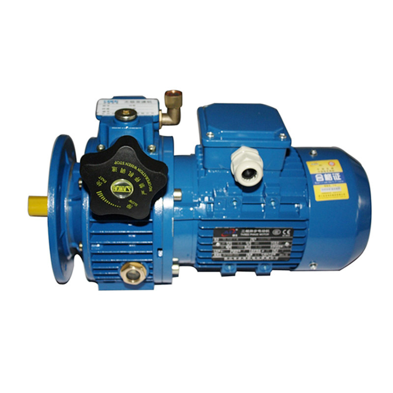 UDL series gear worm shaft gearbox frequency variator manufacturers speed variator reducer speed variator with motor