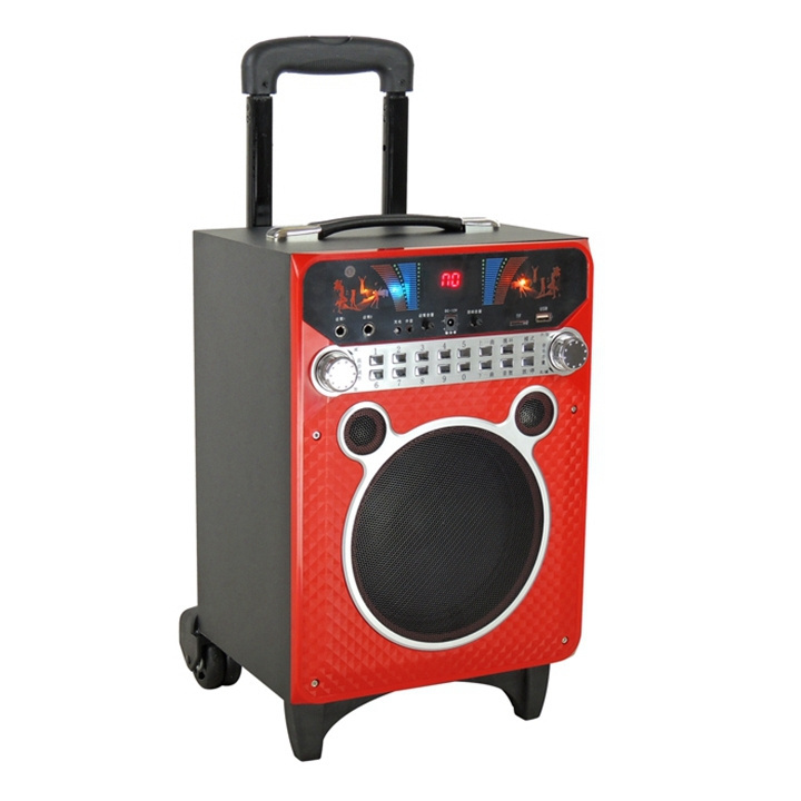 Plastic Speaker Boxes Empty Disco Light Speaker Portable Trolley Speaker With Subwoofer