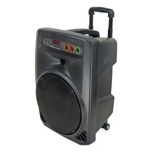 15 inch Subwoofer Portable Rechargeable Wireless Trolley Party Speaker with wireless microphone