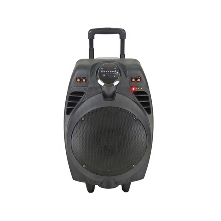 Supply all kinds of portable trolley  speaker jsl ,portable speaker system hi-fi,professional stereo sound speaker equipment