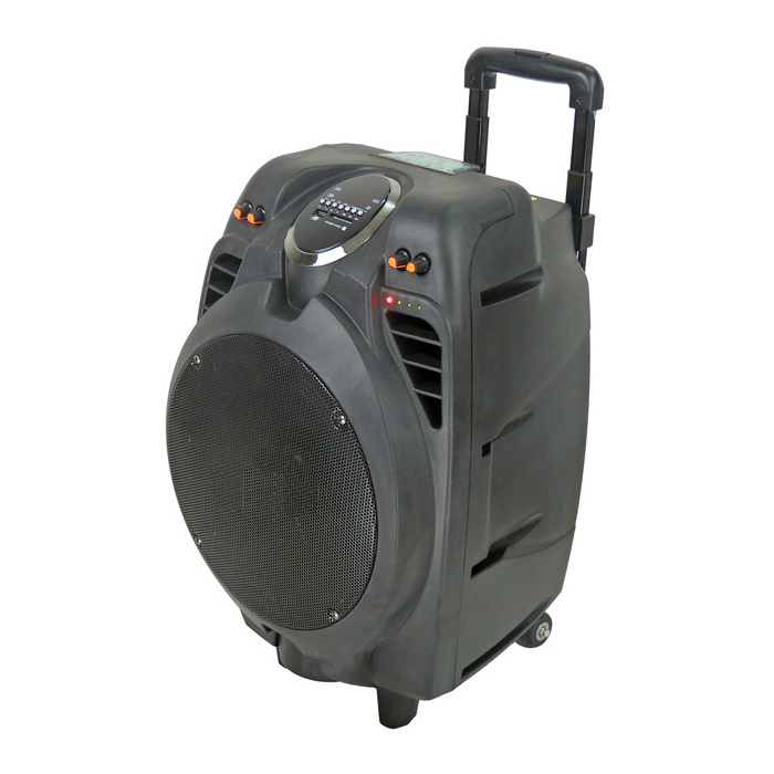 Supply all kinds of portable trolley  speaker jsl ,portable speaker system hi-fi,professional stereo sound speaker equipment