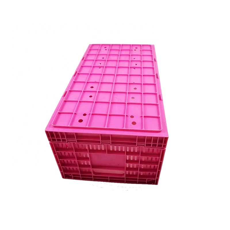 Collapsible plastic Egg Transport Crate