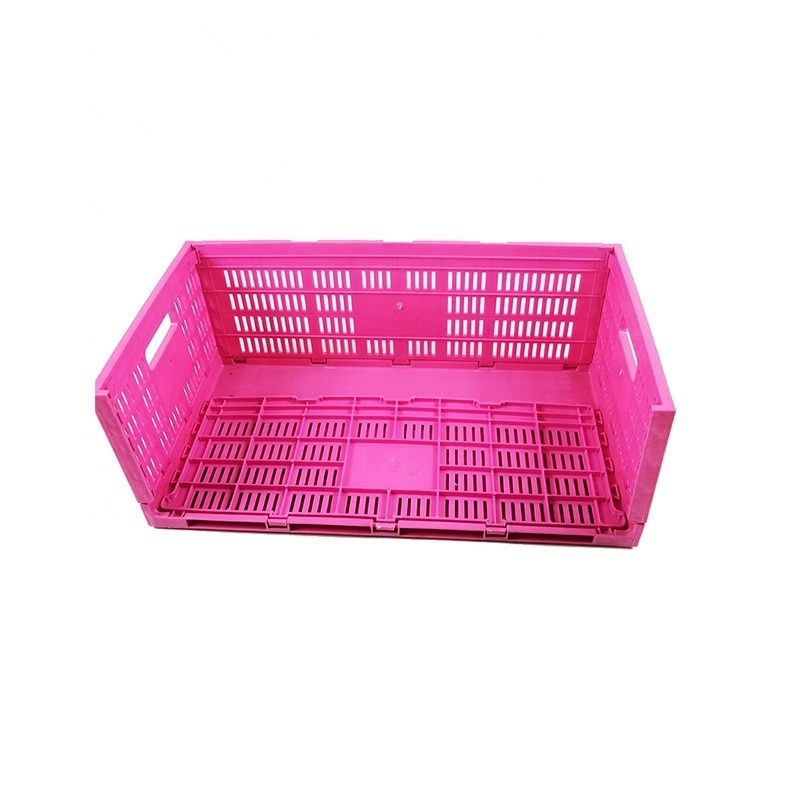 Collapsible plastic Egg Transport Crate