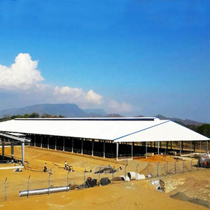 Steel Structure Cow Shed