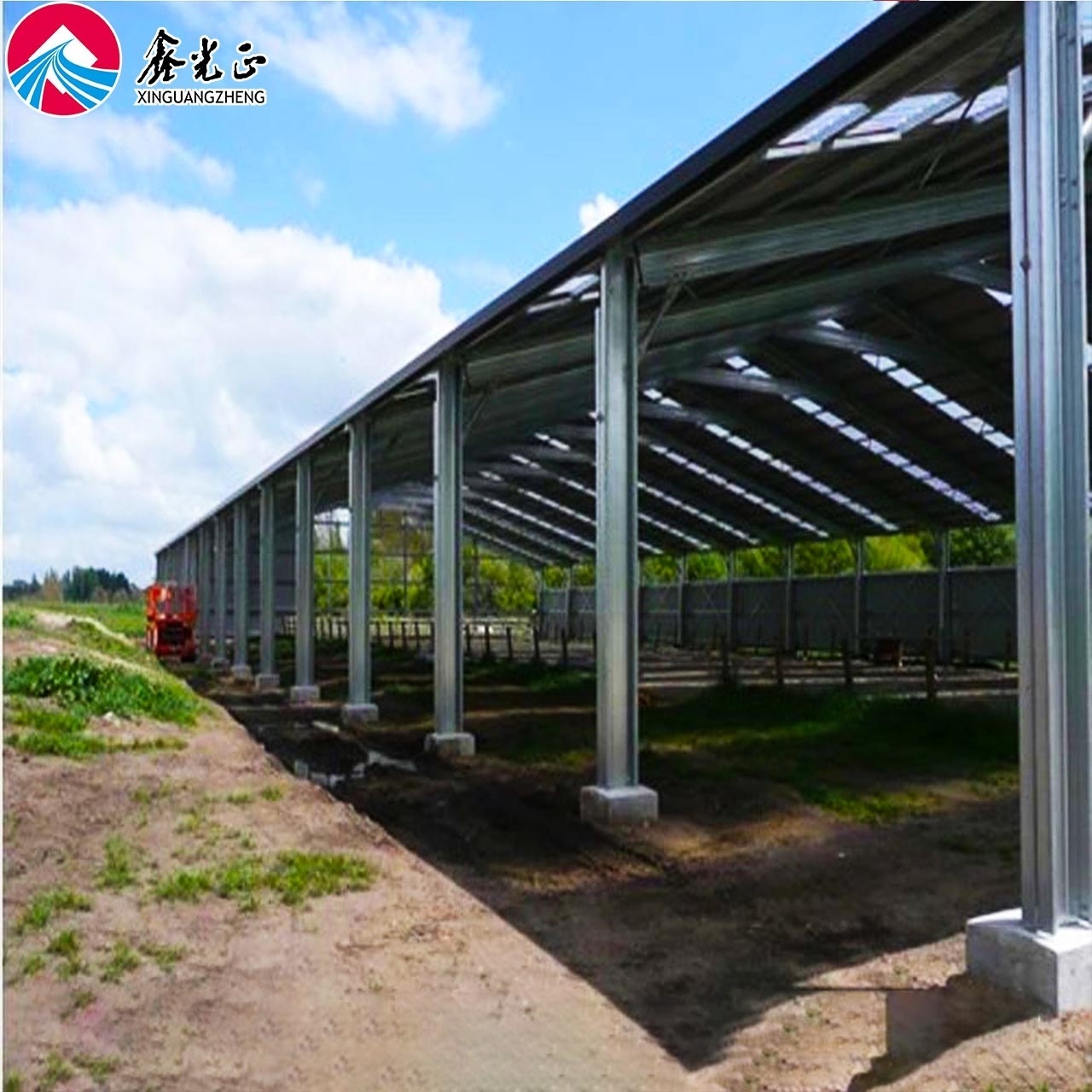 Steel Structure Cow Shed