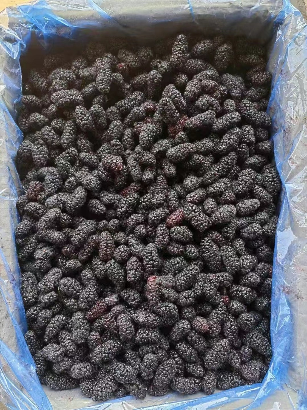 IQF mulberry High Quality Frozen Healthy Fruits Wholesale Frozen mulberries