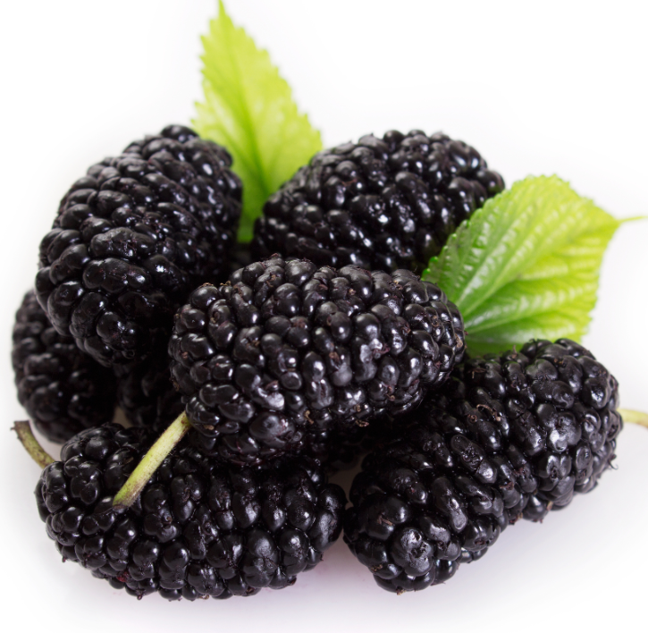 IQF mulberry High Quality Frozen Healthy Fruits Wholesale Frozen mulberries