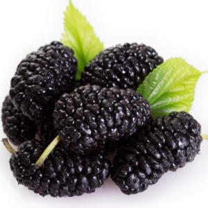 IQF mulberry High Quality Frozen Healthy Fruits Wholesale Frozen mulberries