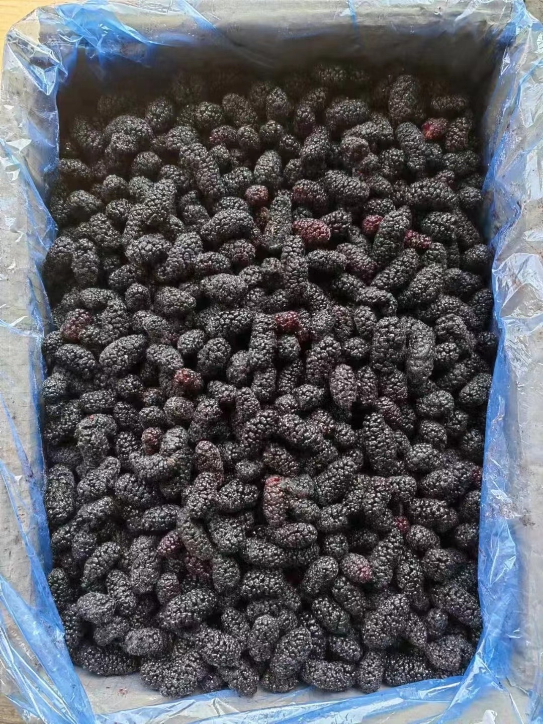 IQF mulberry High Quality Frozen Healthy Fruits Wholesale Frozen mulberries