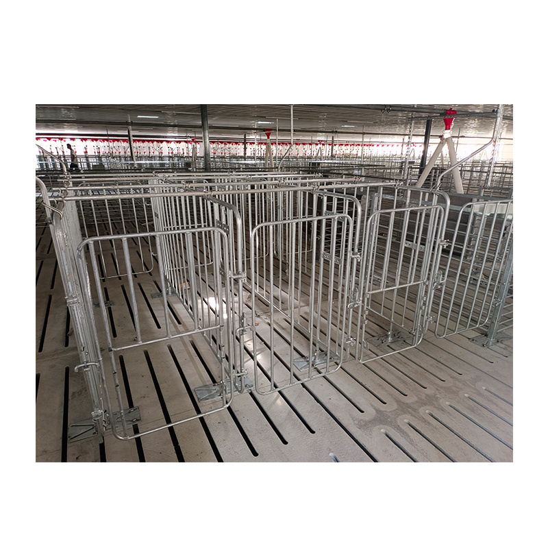 Hot selling Pig Raising Equipment Gestation Stall/pen Finishing Pig Pen/ Crate Wholesale