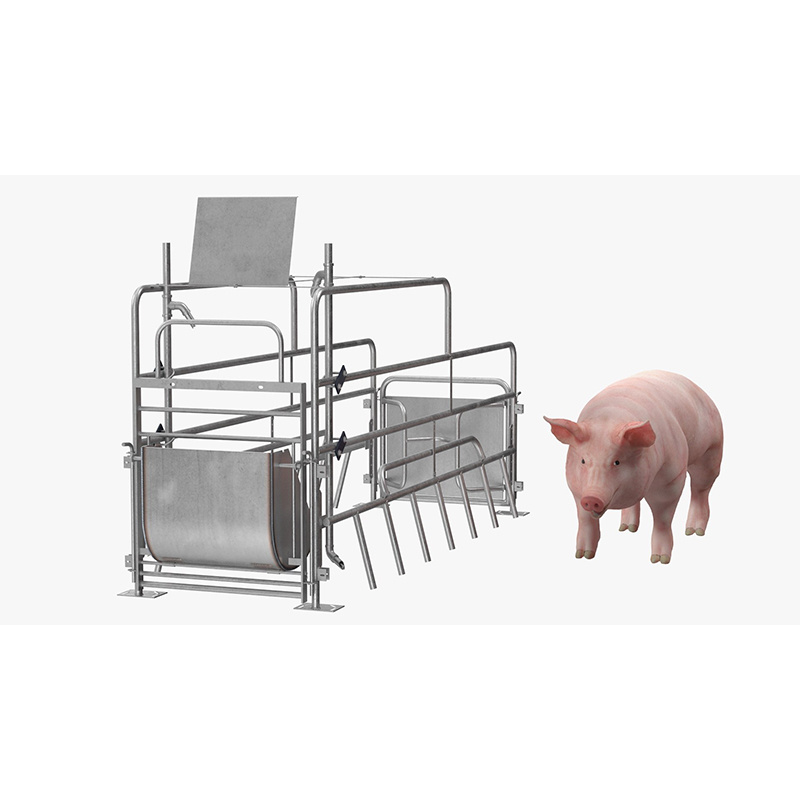 Direct deal pig farrowing crate Sow Farrowing Crates Pig Farrowing Crates Supplier