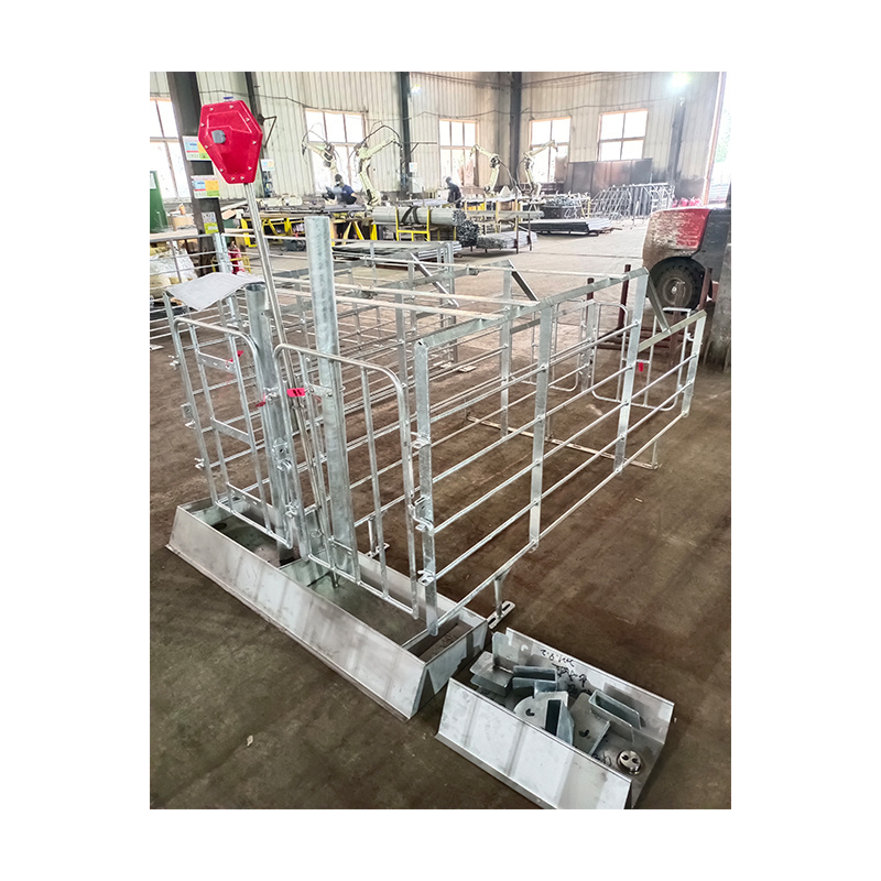 Factory supply Pig Solid Rod Farrowing Crate Stall Galvanized Sow Farrowing Stalls Finishing Pig Pen/ Crate Wholesale