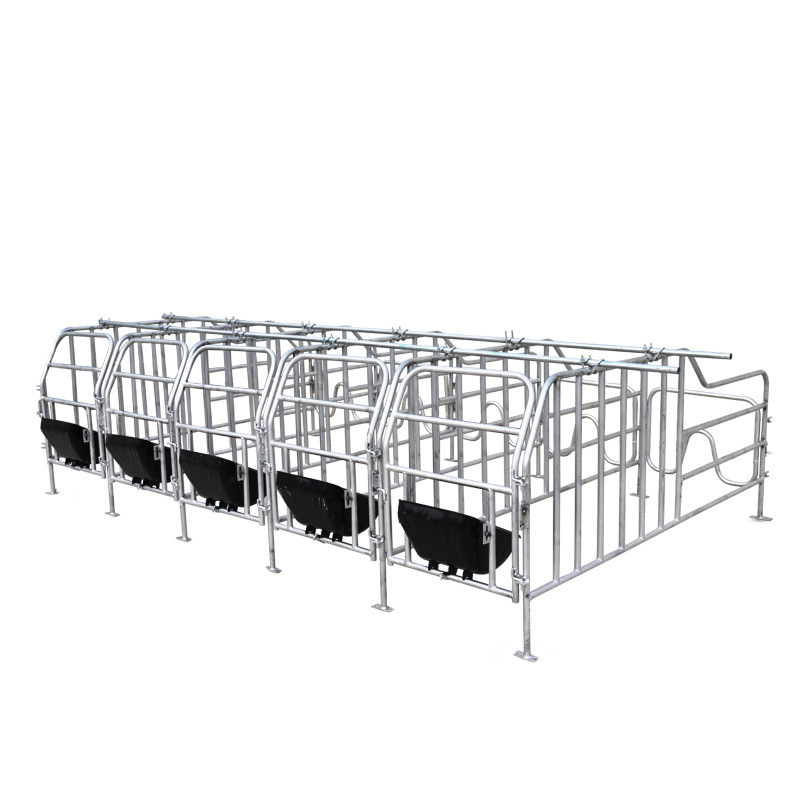 Hot selling Gestation Cage For Pregnant Pig Pig Solid Rod Farrowing Crate Stall