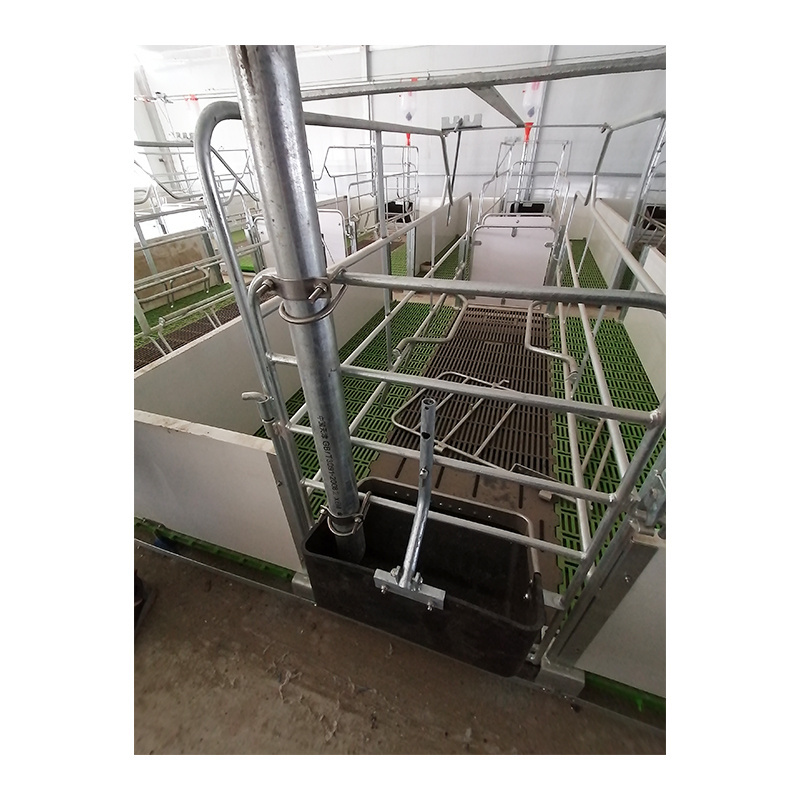 Hot selling Pig Raising Equipment Gestation Stall/pen Finishing Pig Pen/ Crate Wholesale