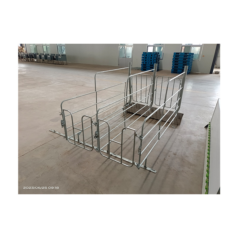 Hot selling Pig Raising Equipment Gestation Stall/pen Finishing Pig Pen/ Crate Wholesale