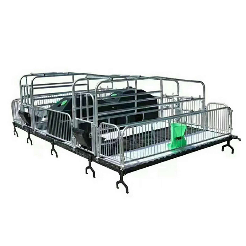 Direct deal pig farrowing crate Sow Farrowing Crates Pig Farrowing Crates Supplier